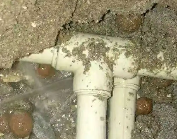 博爱测漏水多少钱