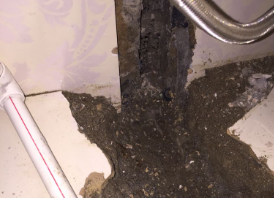 博爱卫生间测漏水哪家好