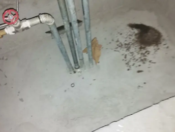 博爱卫生间测漏水价格明细