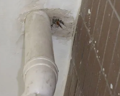 博爱漏水检测哪家好